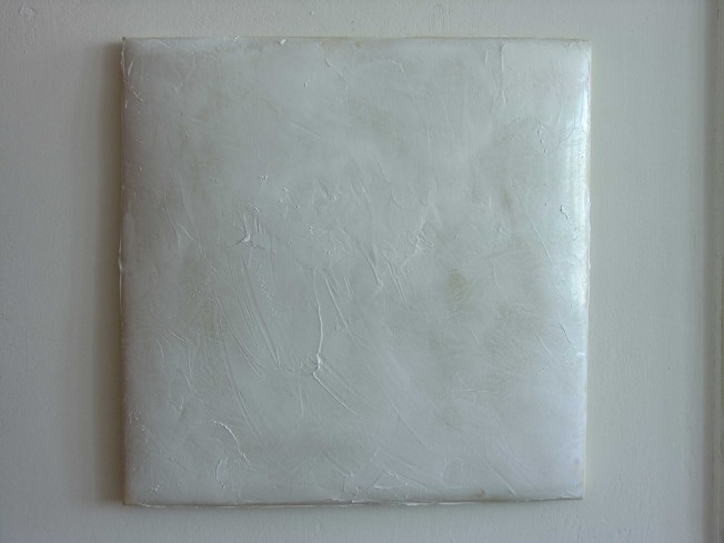 REGENERACE monochromie, materiál: koženka, krém, mast, 2006, 50x50x5cm
