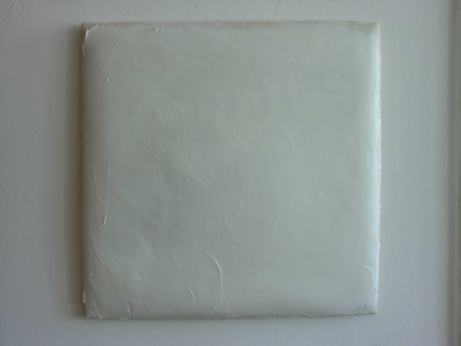 REGENERACE monochromie, materiál: koenka, krém, mast, 2006, 50x50x5cm