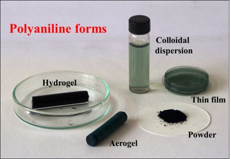 Fig. 1. Various polyaniline forms.